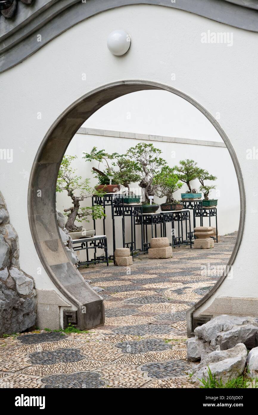 Arcade orientale avec pavage en mosaïque de galets, exposition de bonsaï sur les tables Banque D'Images