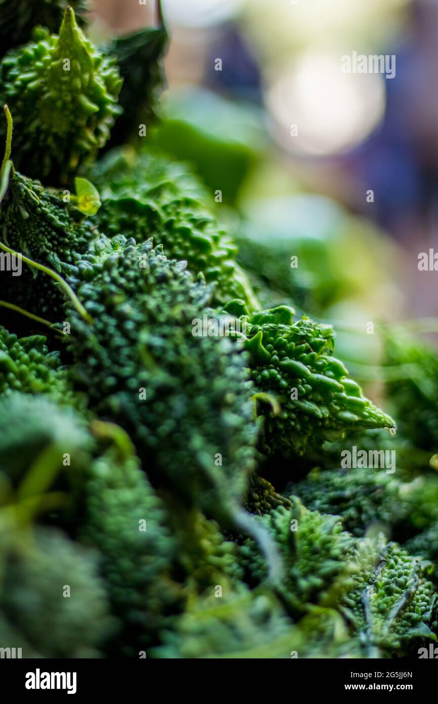 Vue de dessus de gourde amère sur le marché - melon amer, également connu sous le nom de gourde amère Banque D'Images