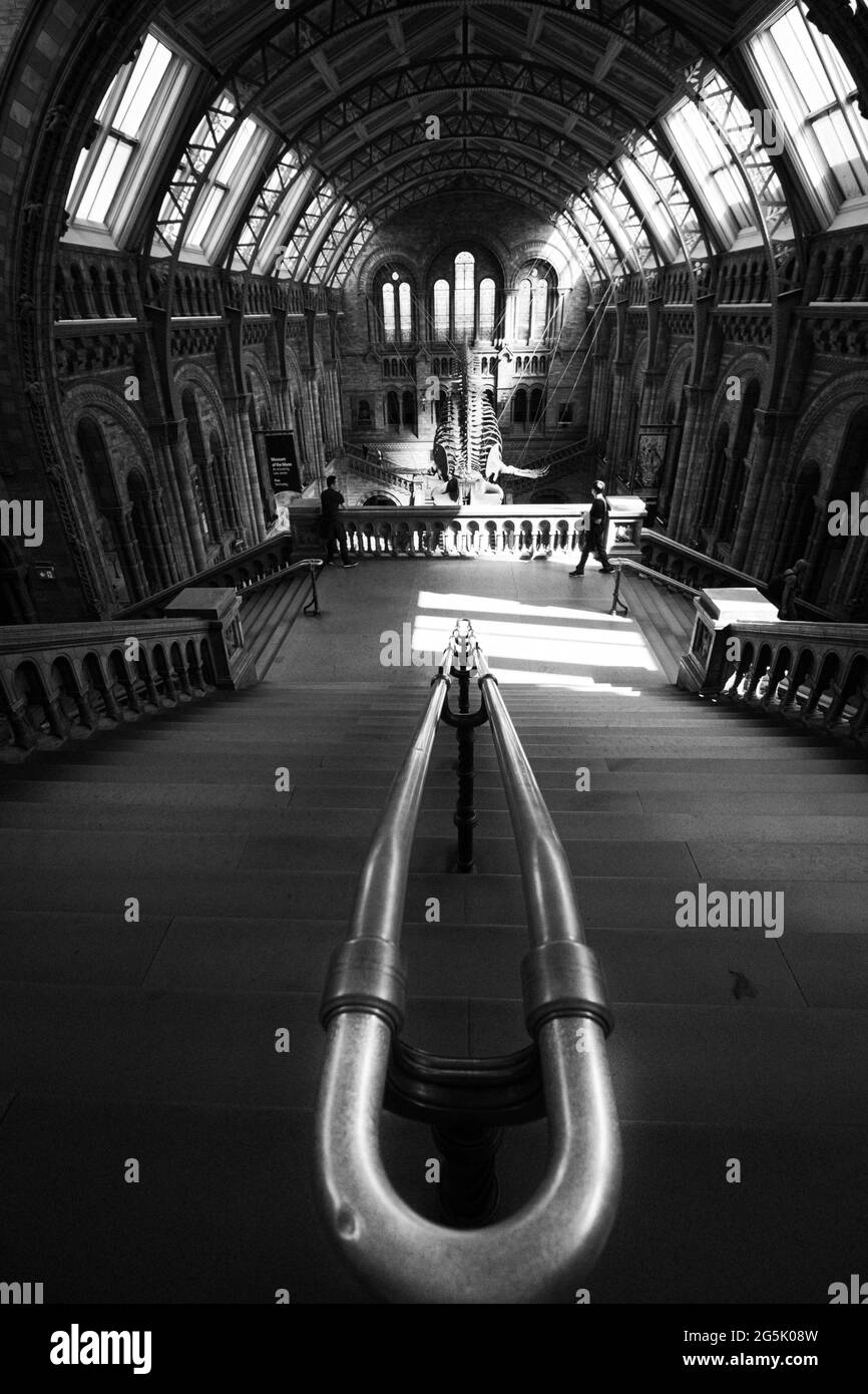 Vie urbaine Banque D'Images