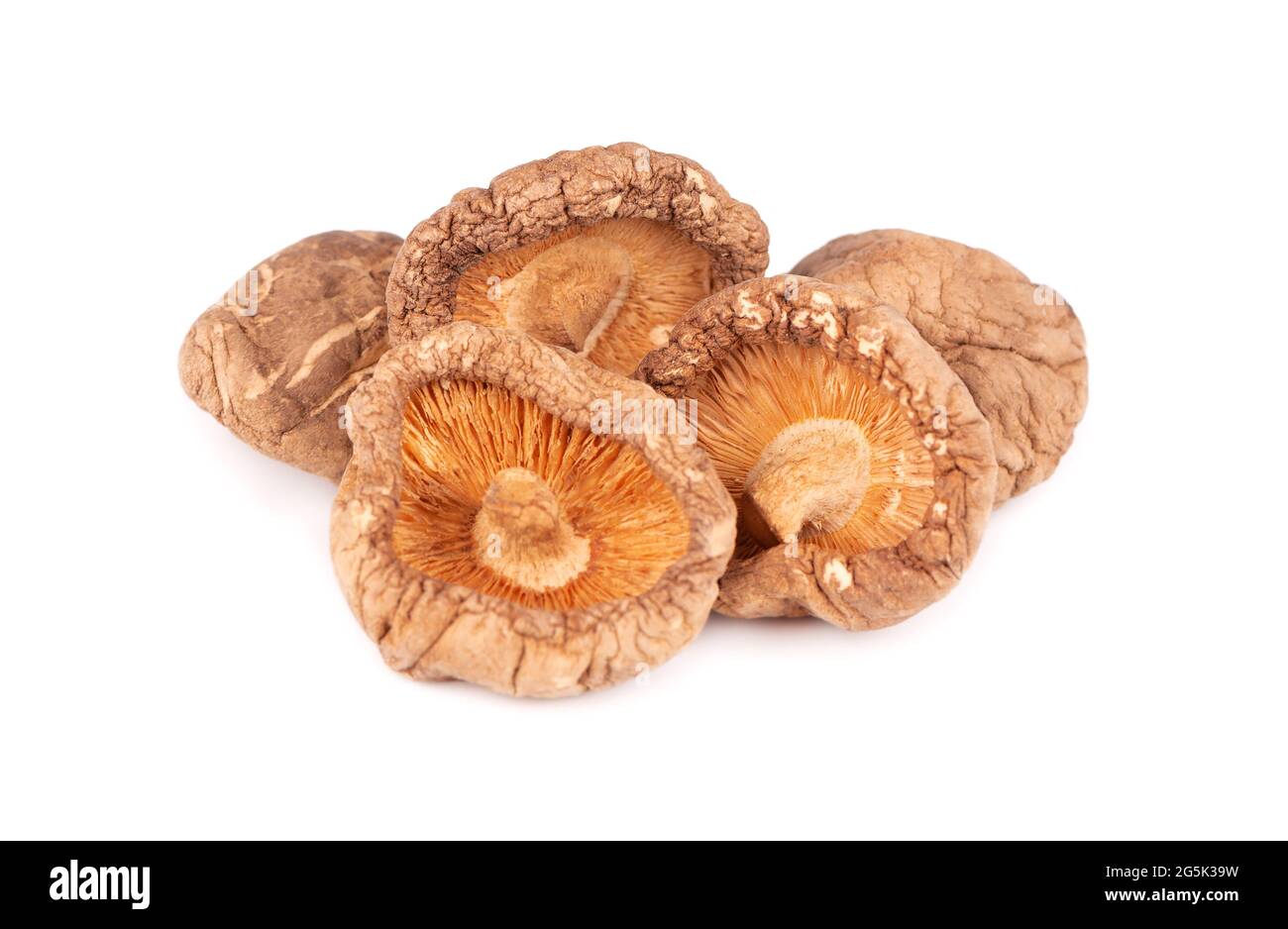 Champignons shiitake séchés, isolés sur fond blanc. Champignons de la forêt japonaise. Lentinula edodes. Gros plan. Banque D'Images