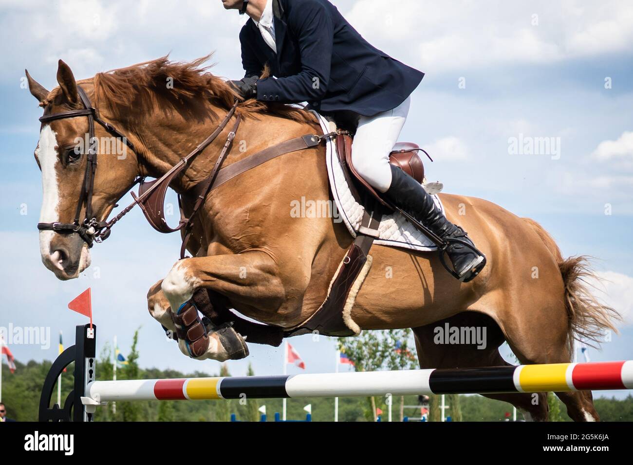 Sports équestres photo-thème: Le saut à cheval, le saut de spectacle, l'équitation. Banque D'Images