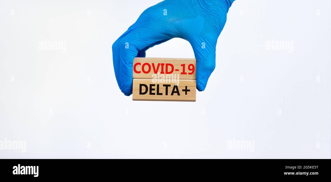 Nouveau symbole de variante Covid-19 delta plus. Main dans le gant bleu contient des blocs de bois, mots Covid-19 delta plus. Magnifique fond blanc. Copier l'espace. Moyenne Banque D'Images