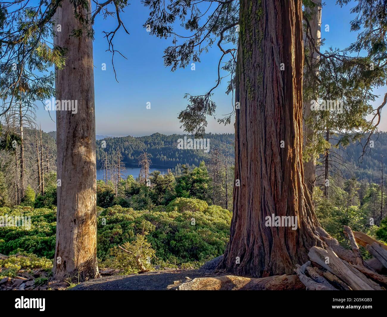 Vue depuis le lac Sequoia, vue sur le sentier Dead Giant Loop, parc national de Kings Canyon, Californie. Banque D'Images