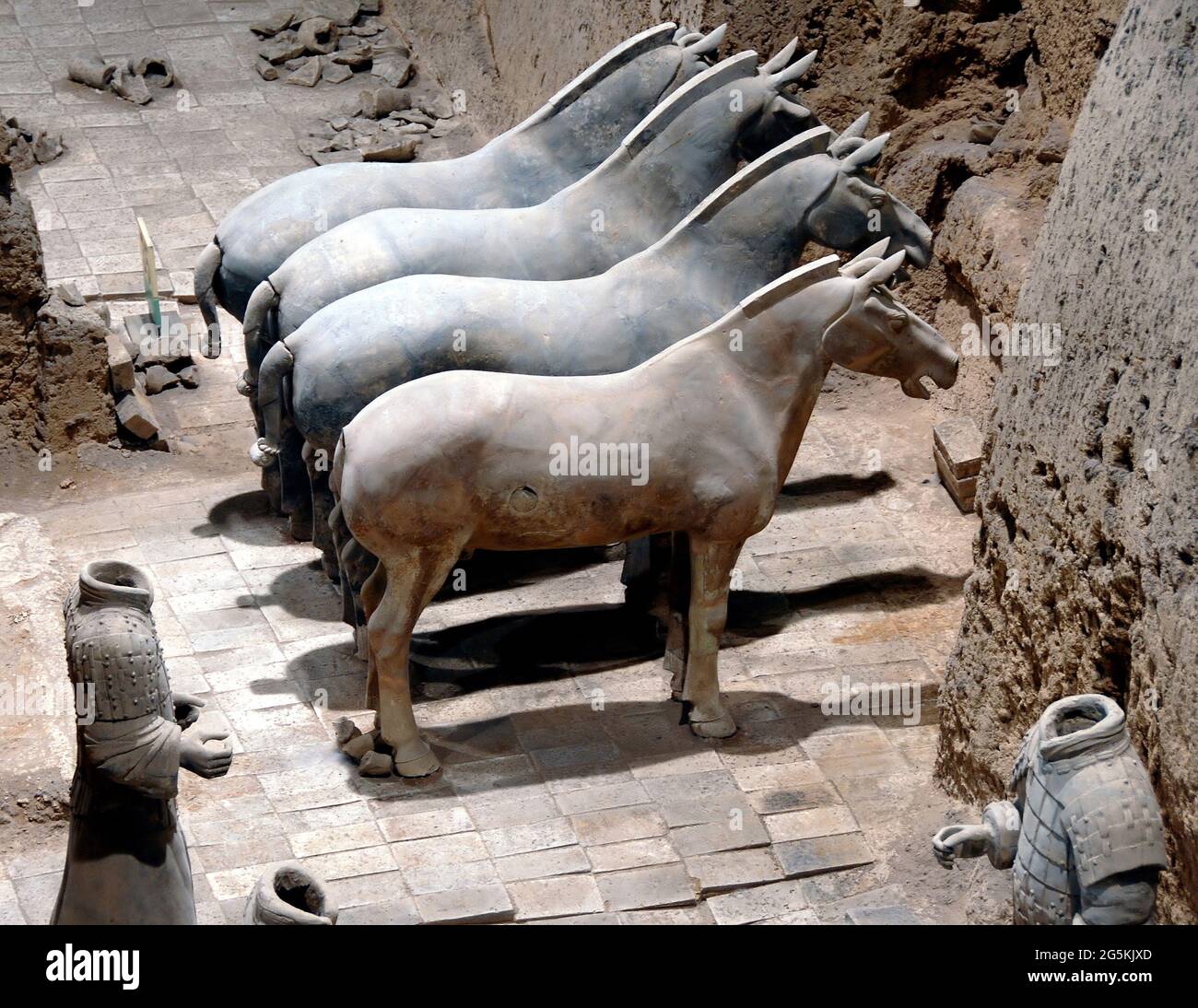Soldats en terre cuite, Xian, province de Shaanxi, Chine. Chevaux dans