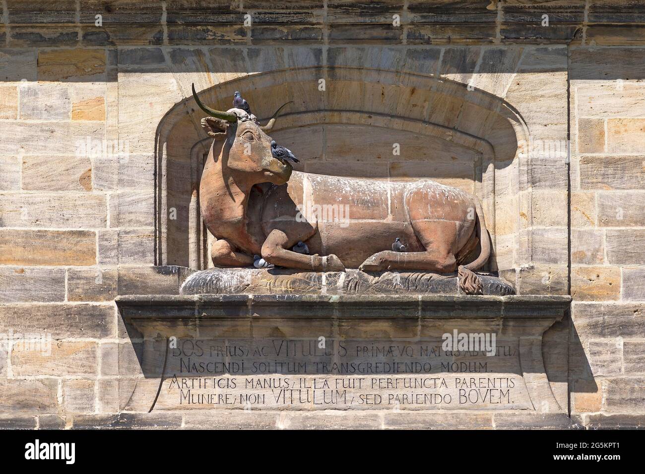 Sculpture d'un boeuf à l'abattoir historique de 1742-1903 et banque de viande, salle de vente de viande jusqu'en 1950, aujourd'hui partie de la bibliothèque universitaire, Bamb Banque D'Images