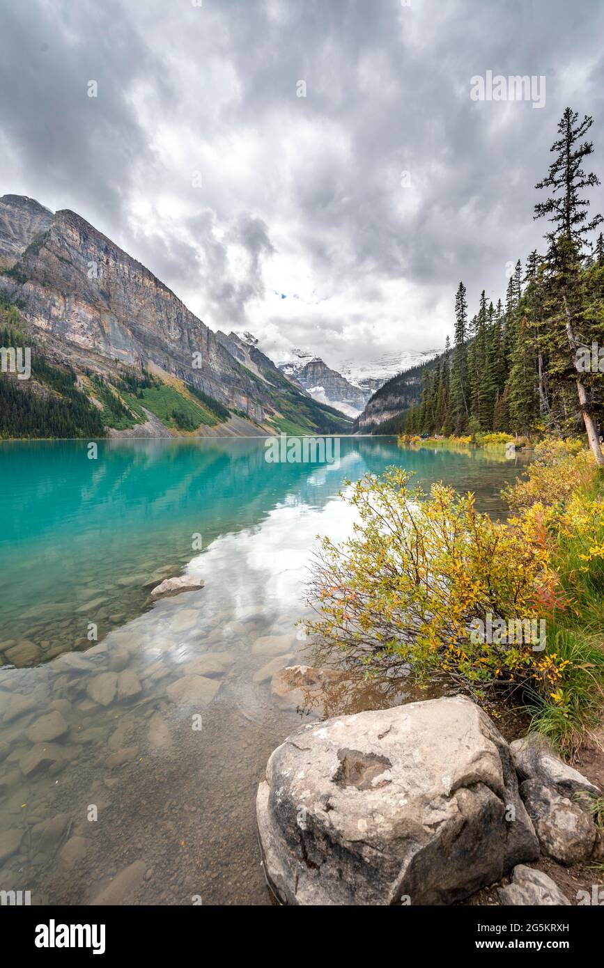 Vue sur le mont Victoria, reflet dans le lac de montagne turquoise de Lake Louise, buissons aux couleurs jaunes d'automne, plaine des six Glaciers, près du lac Lou Banque D'Images