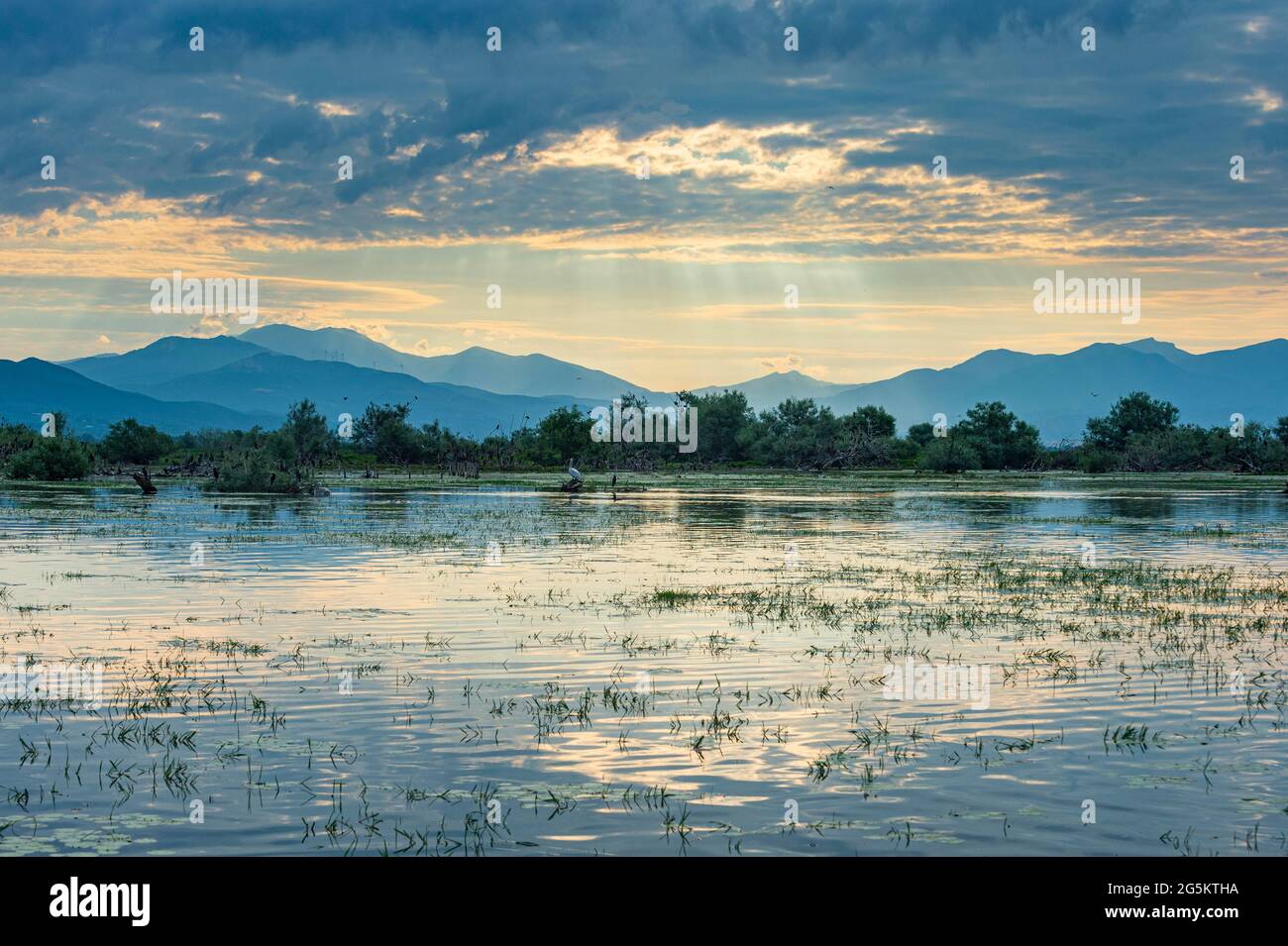 Lever de soleil sur le lac Kerkini, Macédoine, Grèce, Europe Banque D'Images