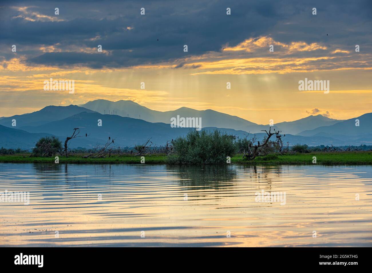 Lever de soleil sur le lac Kerkini, Macédoine, Grèce, Europe Banque D'Images