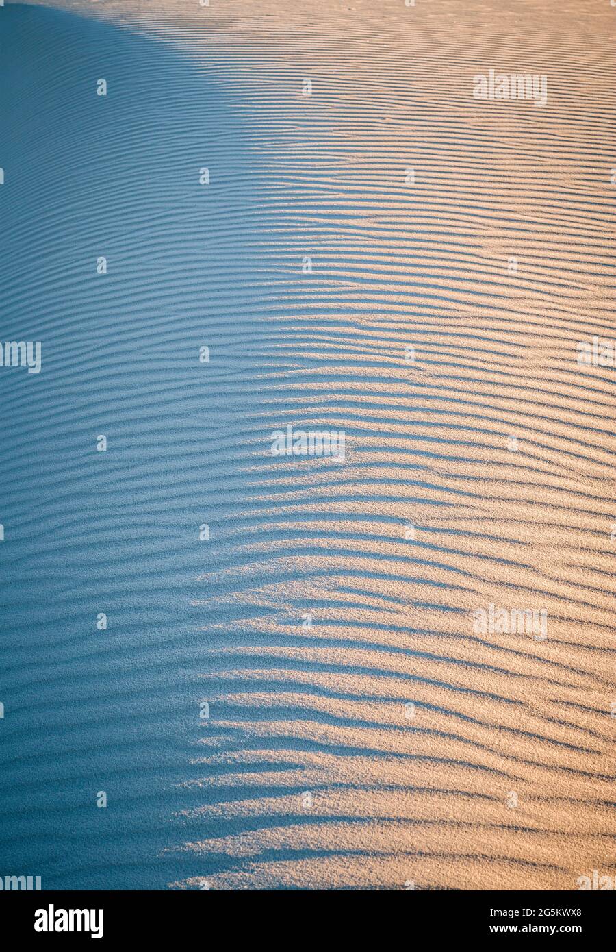 lumière et motif sur les formes d'onde à la dune de sable blanc au coucher du soleil Banque D'Images