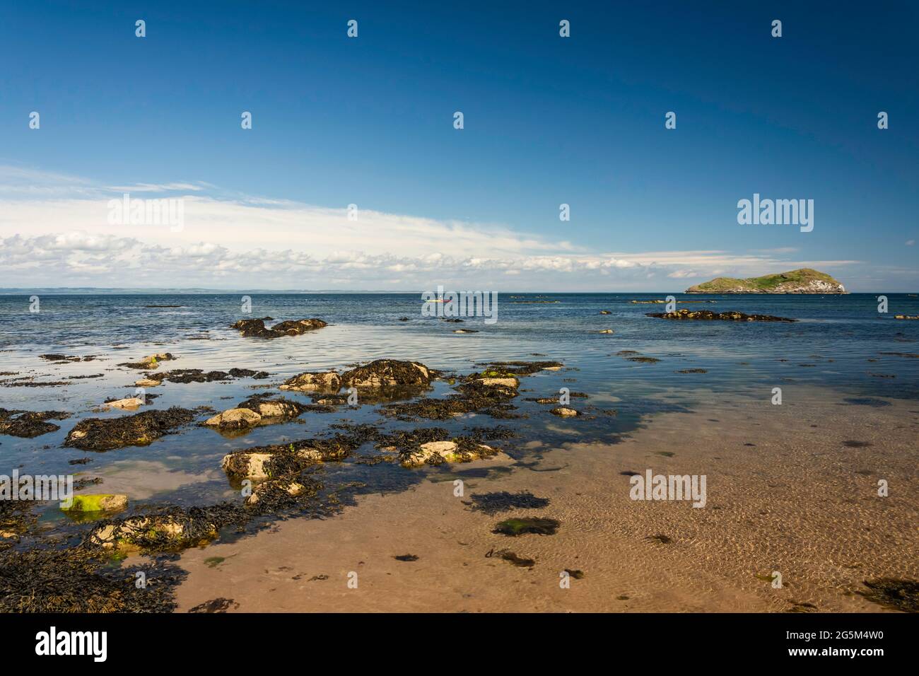 Vue sur le Firth of Forth depuis la côte de Berwick nord, Lothian est, Écosse Banque D'Images