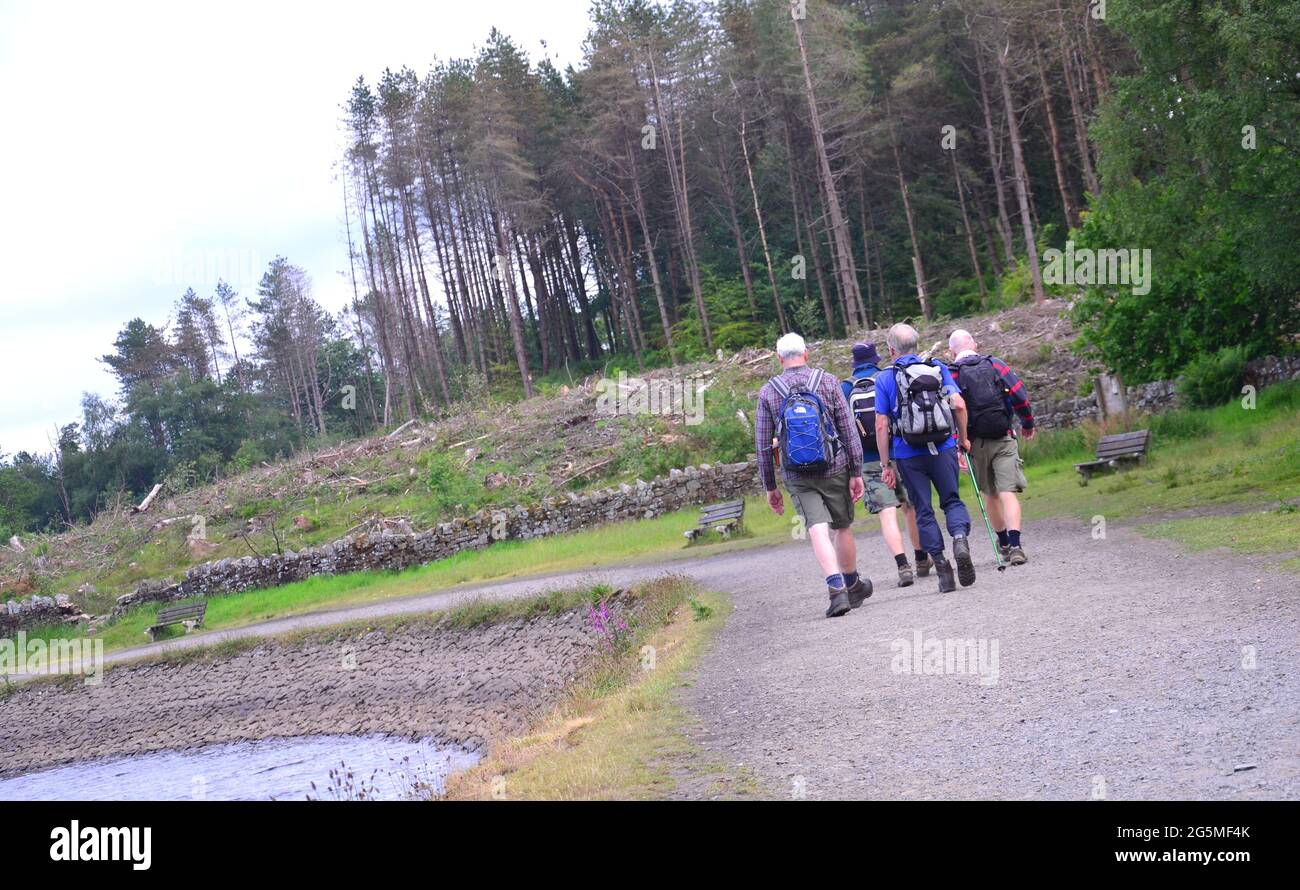 Un groupe d'hommes âgés marchant dans la campagne dans le grand Manchester, Angleterre, Grande-Bretagne, Royaume-Uni, arbres, réservoir Banque D'Images