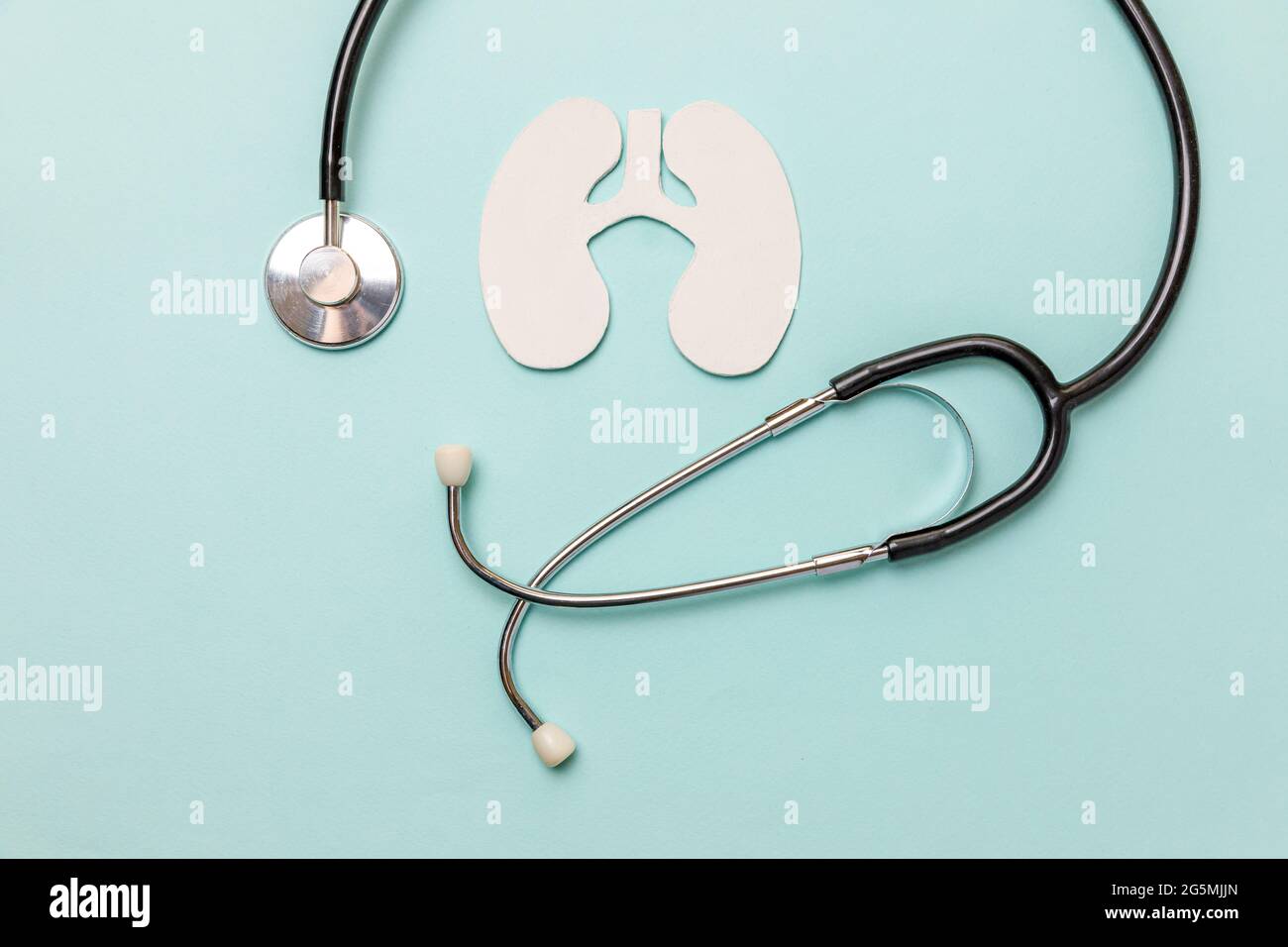Thérapie pulmonaire concept médical. Modèle de symbole de poumons à motif plat, stéthoscope sur fond bleu pastel. Pneumonie respiratoire Banque D'Images