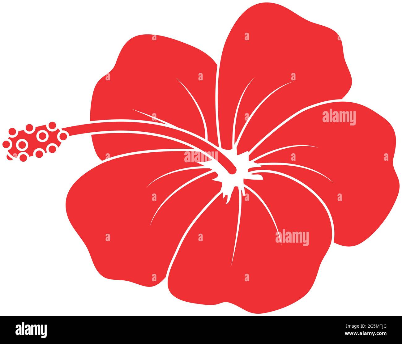 fleur d'hibiscus rouge sur fond Illustration de Vecteur
