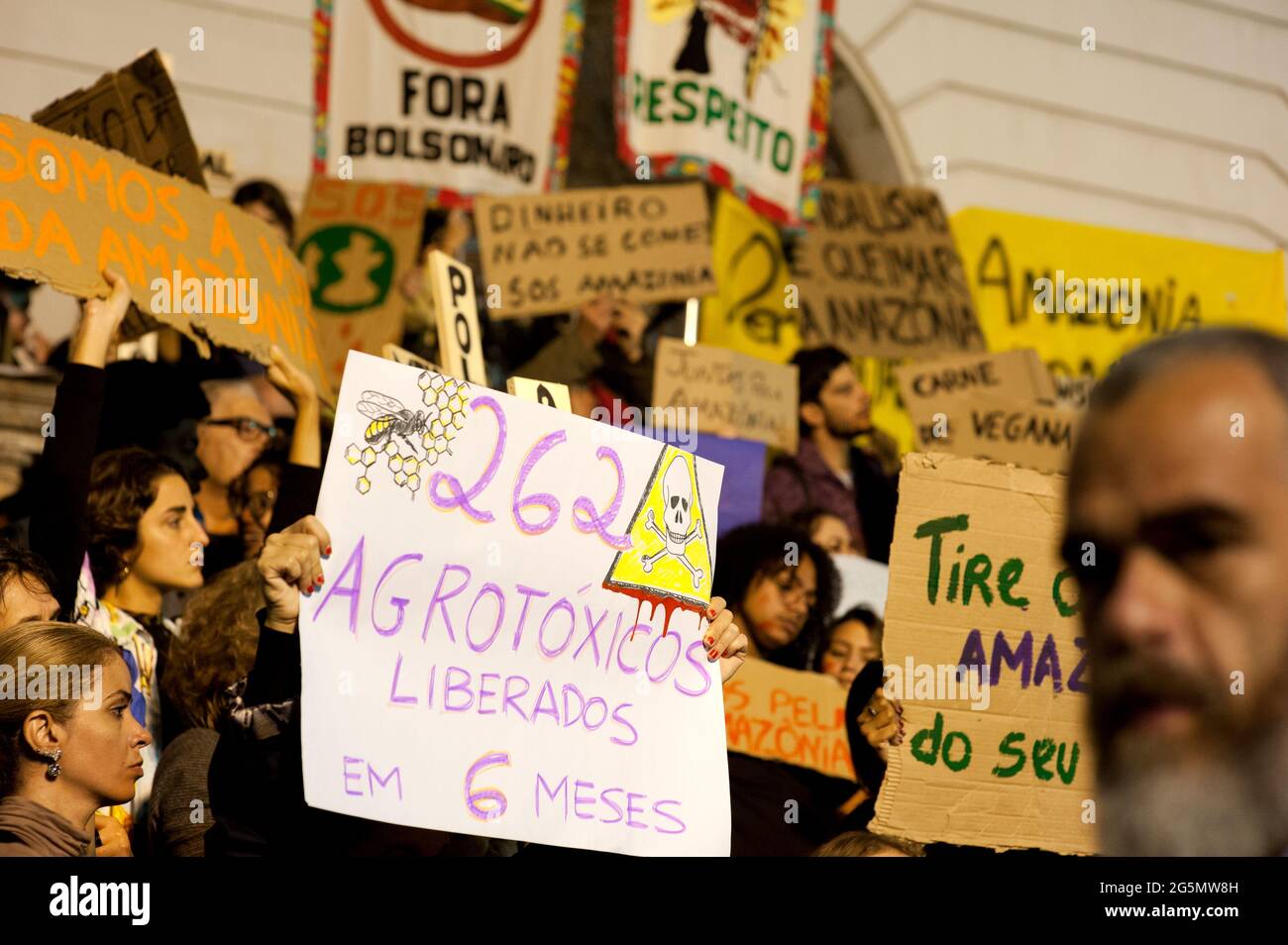 Rio de Janeiro – 23,2019 août : un manifestant tient un écriteau indiquant « 262 pesticides libérés en 6 mois » lors d'une manifestation contre les incendies en Amazonie Banque D'Images