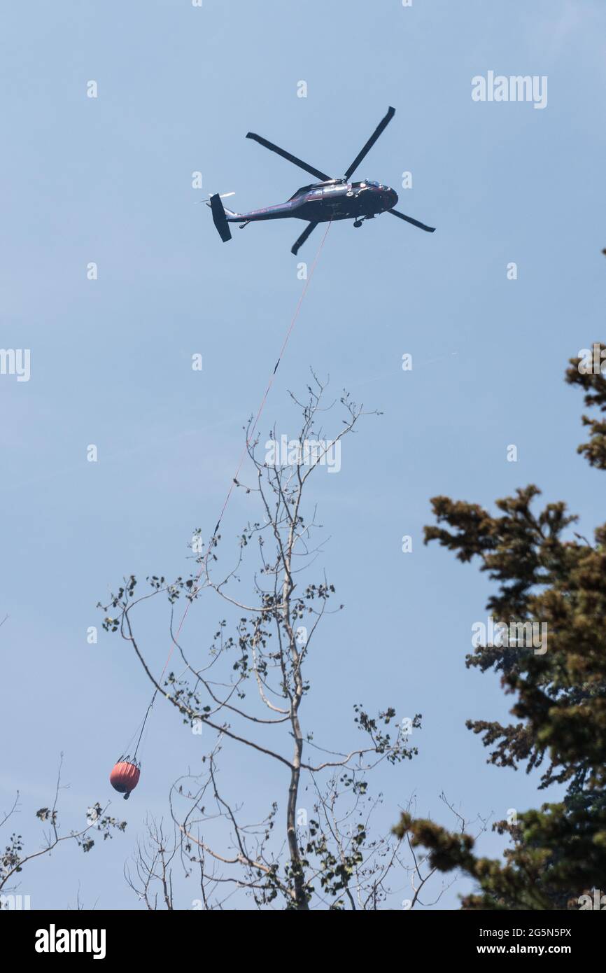 Un hélicoptère Sikorsky CH-60 Blackhawk de lutte contre les incendies vole pour faire tomber de l'eau sur un feu de forêt dans les montagnes de la Sal dans l'Utah. Hélicoptère de lutte contre les incendies Banque D'Images