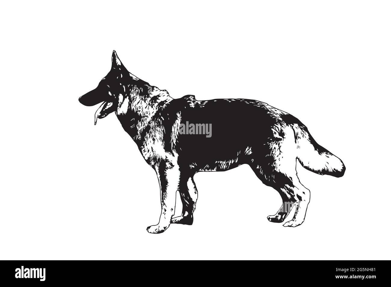 Profil noir et blanc d'un Berger allemand. Chien adulte debout avec la bouche ouverte et la langue pendante. Vue latérale. Illustration vectorielle Illustration de Vecteur
