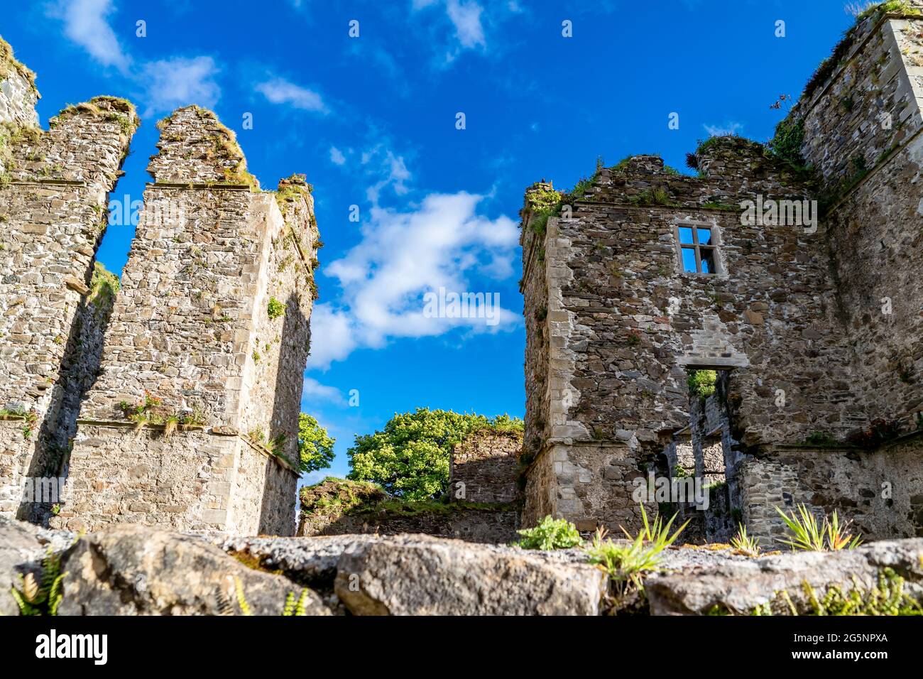 Les ruines du château de Manorhamilton, érigé en 1634 par Sir Frederick Hamilton - Comté de Leitrim, Irlande. Banque D'Images