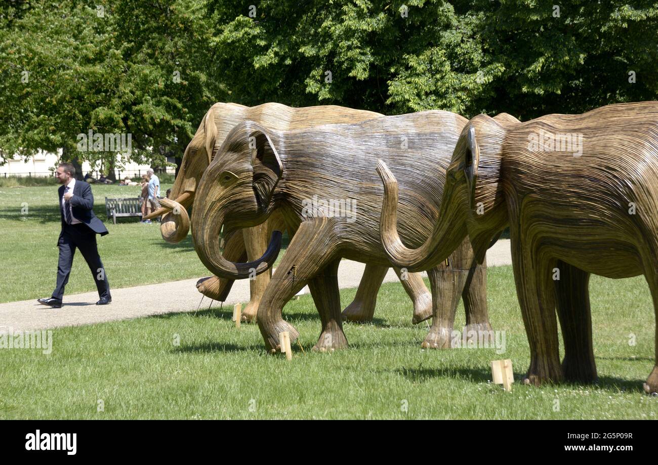 Londres, Angleterre, Royaume-Uni. 'Coexistence' - exposition d'art environnemental composée de 100 éléphants de bois grandeur nature se déplaçant à Londres. Ici à St James Banque D'Images