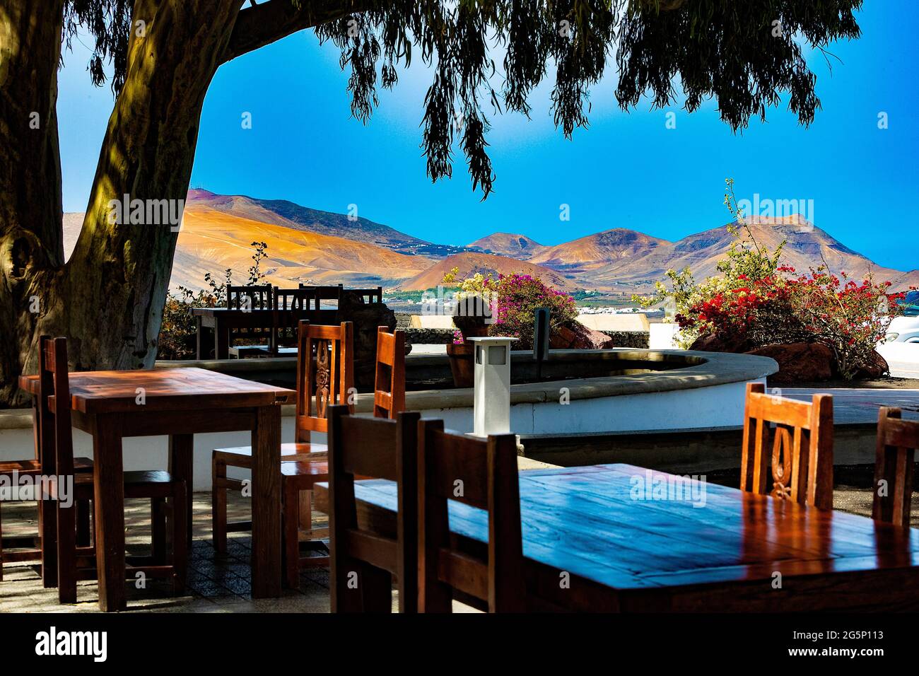 Paysage pittoresque avec vignobles volcaniques. Lanzarote. Îles Canaries. Espagne. Vignoble de la Geria sur sol volcanique noir. Banque D'Images