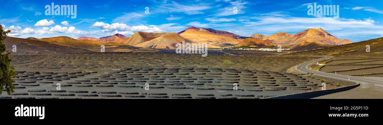 Paysage pittoresque avec vignobles volcaniques. Lanzarote. Îles Canaries. Espagne. Vignoble de la Geria sur sol volcanique noir. Banque D'Images