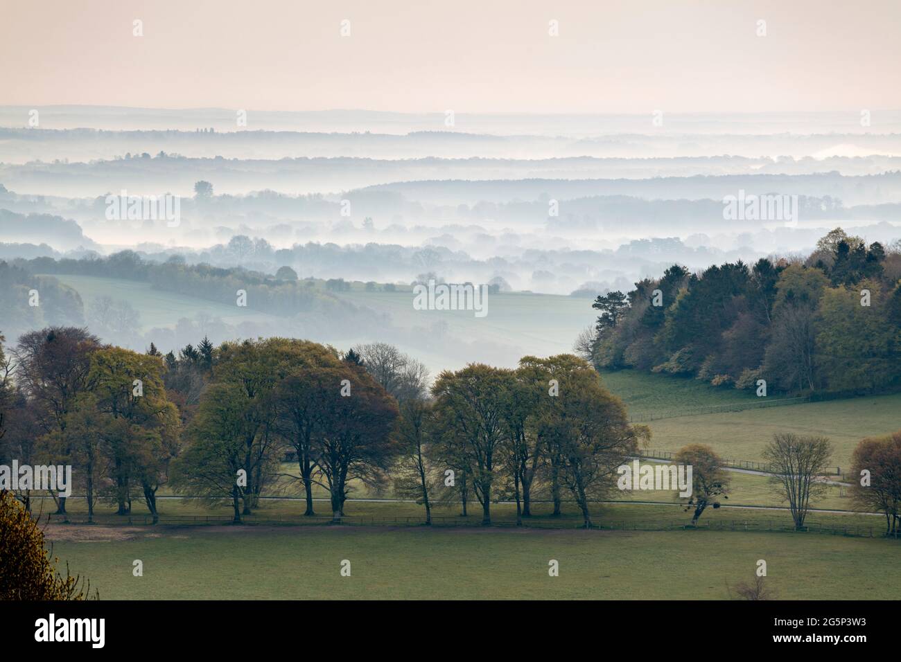 Paysage brumeux dans le Nord Wessex Downs AONB, Ashmansworth, près de Newbury, Hampshire, Angleterre, Royaume-Uni, Europe Banque D'Images