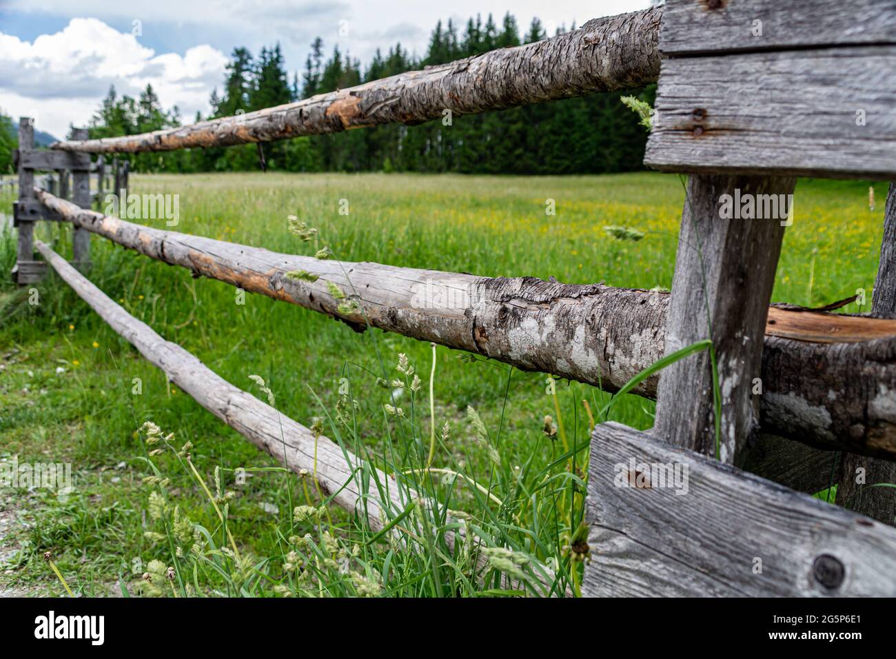 Clôture en bois d'une prairie alpine verte à Salzbourg, Autriche Banque D'Images