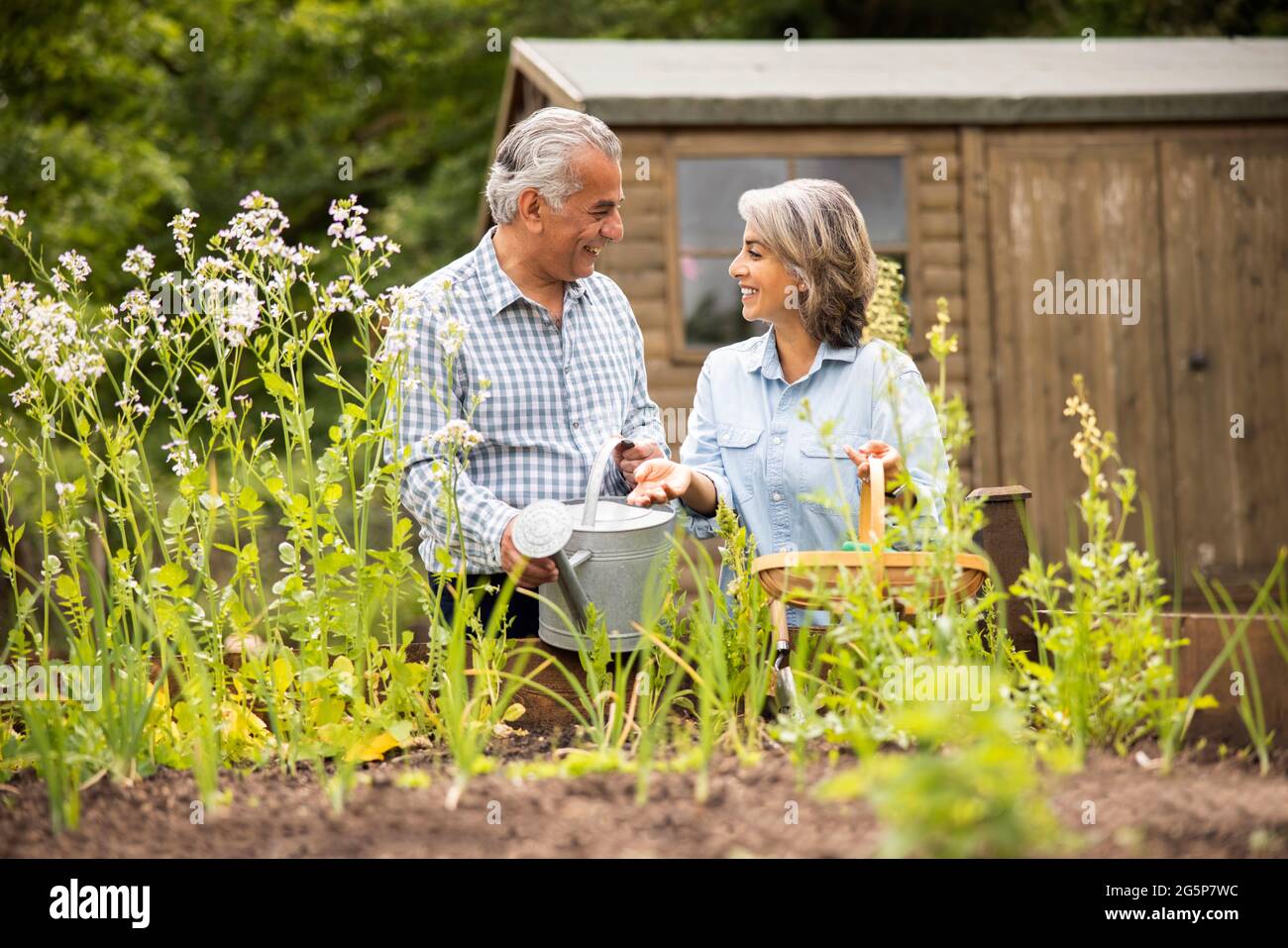 Couple senior dans le jardin à la maison travaillant sur les lits de légumes élevés ensemble Banque D'Images