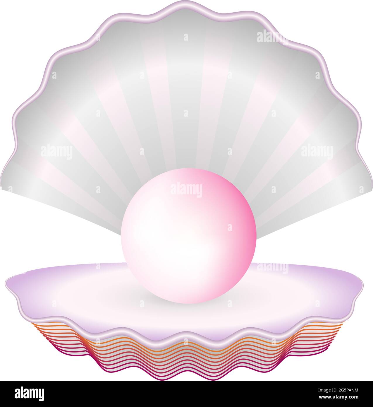 coquillages avec perle sur fond blanc Illustration de Vecteur