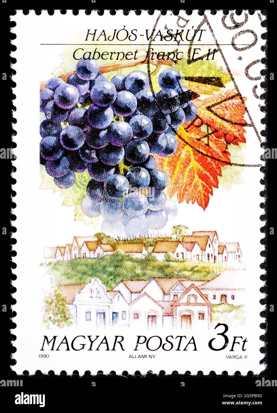 HONGRIE - VERS 1990: Timbre-poste de Hongrie montrant une sorte de franc cabernet de raisin à Waschkut Banque D'Images