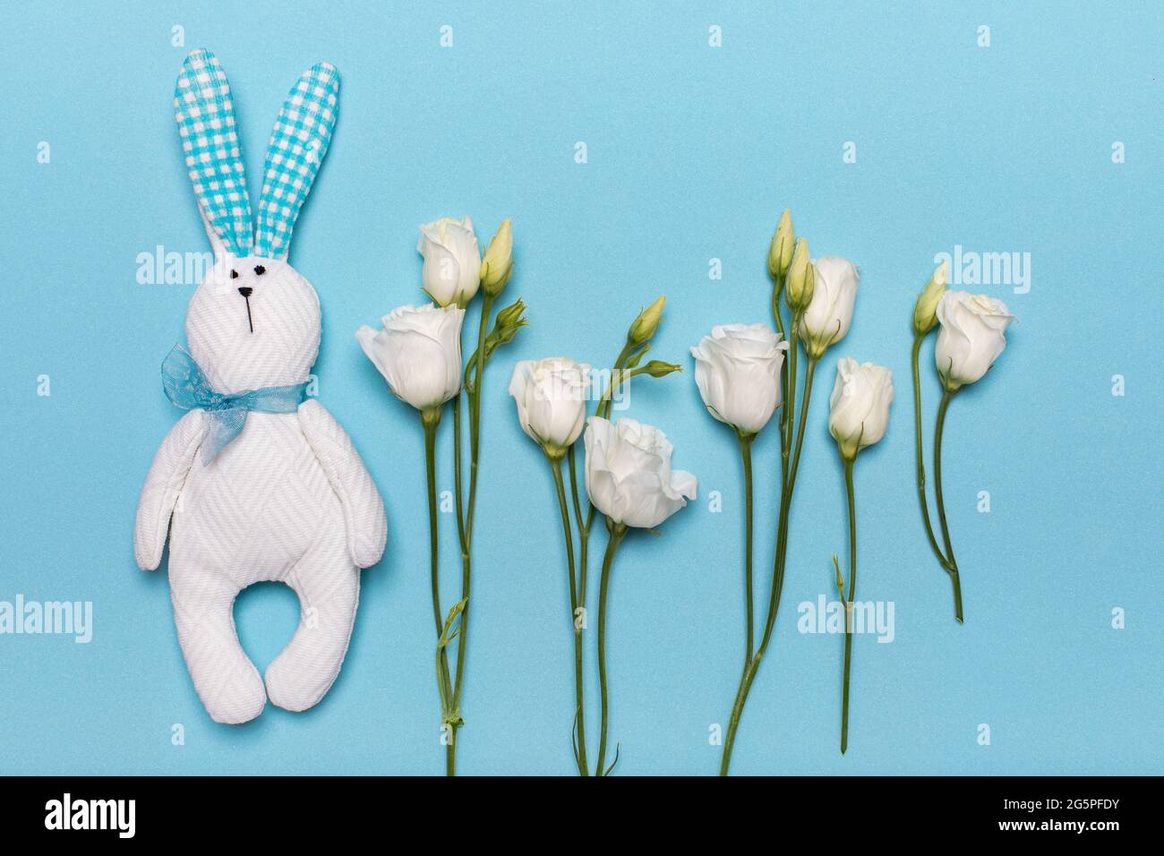 Carte de voeux avec lapin lièvre et fleurs de lisianthus fraîches, anniversaire, 8 mars, fête des femmes, Saint-Valentin, Février 14. Concept de vacances sur fond bleu Banque D'Images