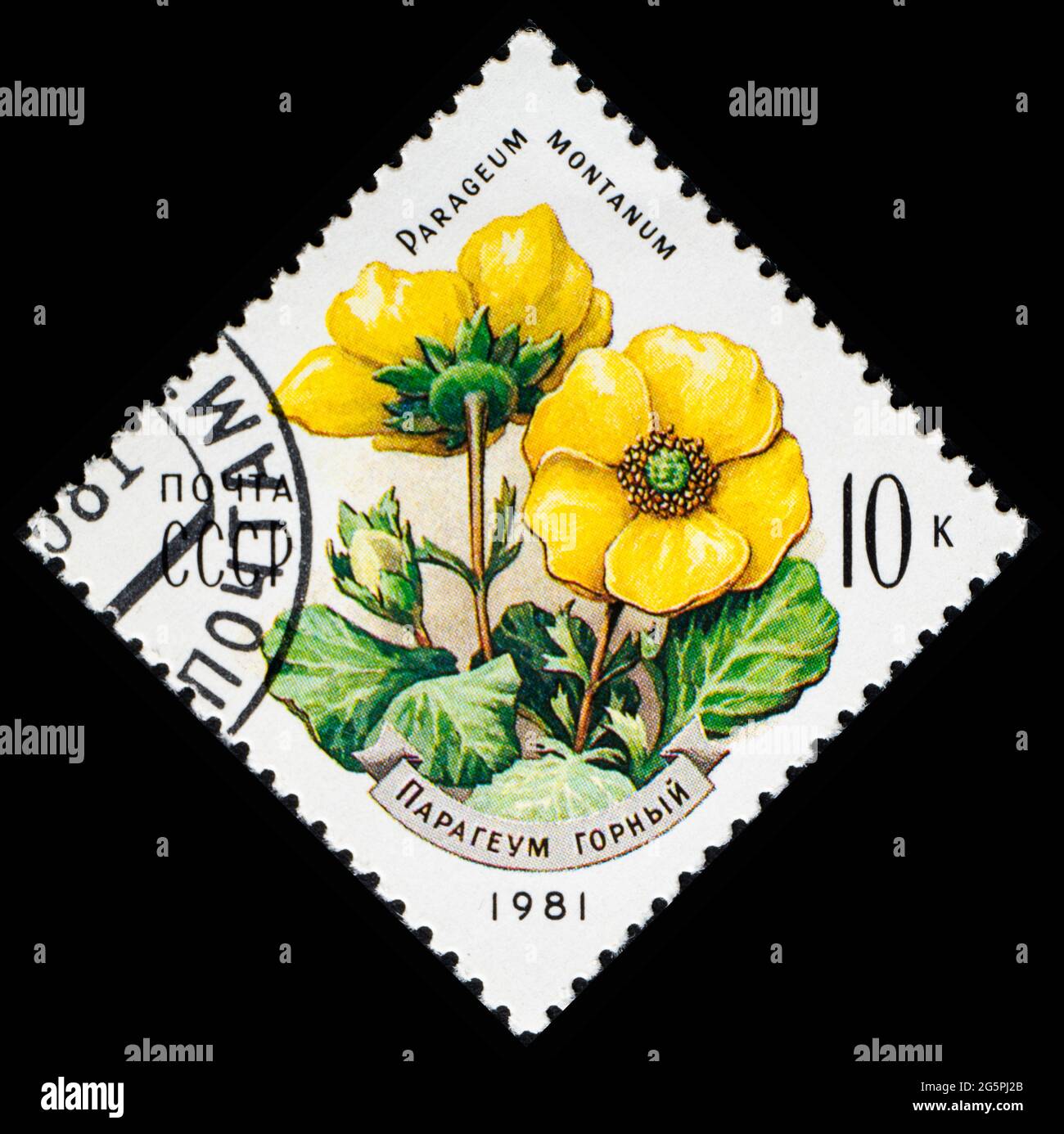 RUSSIE, URSS - VERS 1981: Timbre-poste de l'URSS montrant les fleurs Parageum montanum Banque D'Images