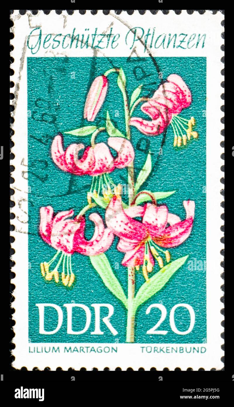 RUSSIE, URSS - VERS 1969: Timbre-poste de l'URSS montrant les fleurs Lilium Martigon Banque D'Images