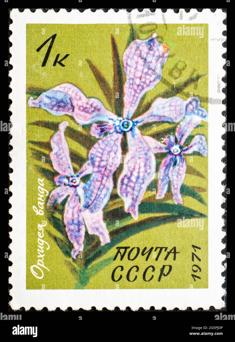 RUSSIE, URSS - VERS 1971: Timbre-poste de l'URSS montrant les fleurs de Vanda Teres Banque D'Images