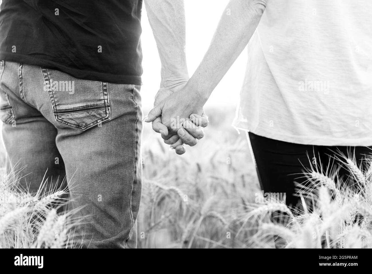 Couple tenant les mains dans un champ de blé pendant une soirée d'été au coucher du soleil, noir et blanc, effet de lumière du soleil Banque D'Images