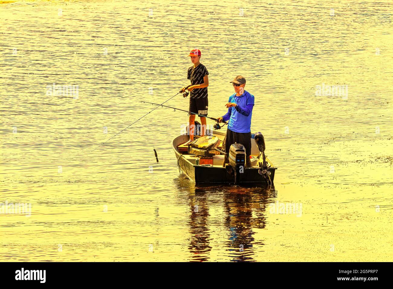 Père et fils pêche à la mouche à partir d'un bateau au coucher du soleil dans un marais humide du parc Ken Reid, à Lindsay Ontario Canada Banque D'Images