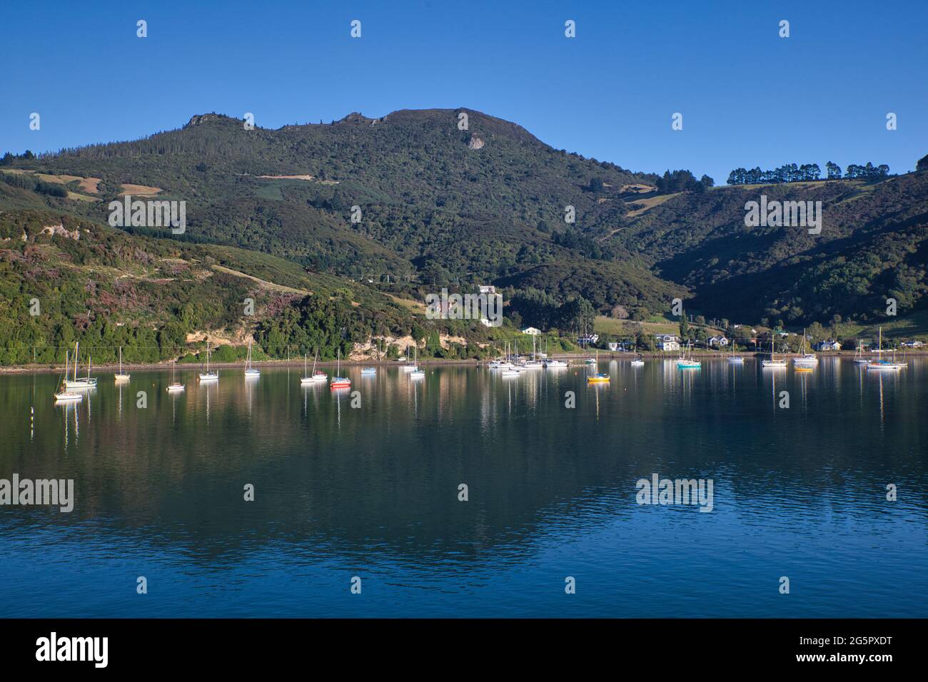 Jolie côte de coteaux couverts d'arbres avec des maisons et des bateaux juste au large de la rive se reflètent dans la mer près du port d'Otago, île du Sud, Nouvelle-Zélande Banque D'Images