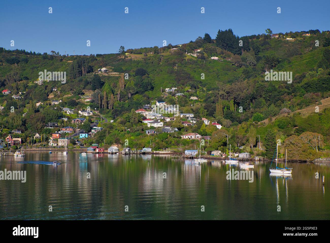 Jolie côte de coteaux couverts d'arbres avec des maisons et des bateaux juste au large de la rive se reflètent dans la mer près du port d'Otago, île du Sud, Nouvelle-Zélande Banque D'Images
