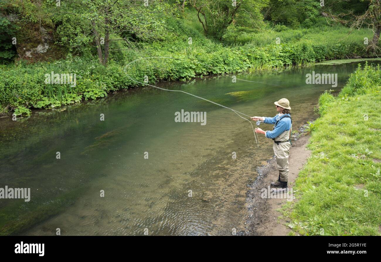 Homme pêche à la mouche sur la rivière Dove, Peak District, Angleterre. Banque D'Images