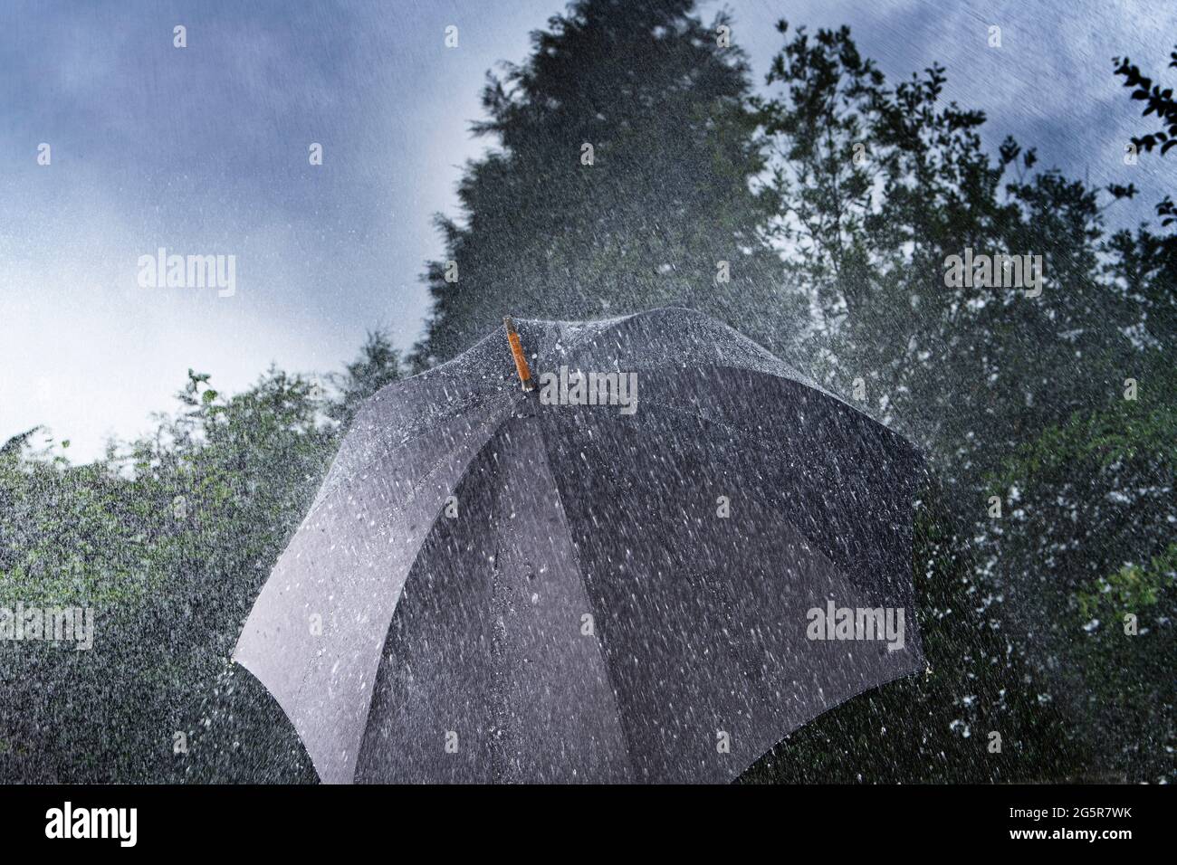 Parapluie classique noir sous une forte pluie sur fond d'arbres et de ciel, avec l'eau rebondissant de la surface du parasol. Banque D'Images