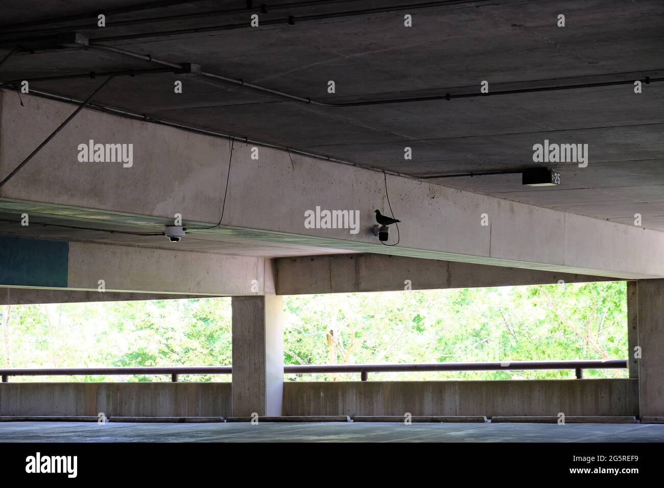 Caméra de sécurité de la tour de stationnement Pigeon Banque D'Images