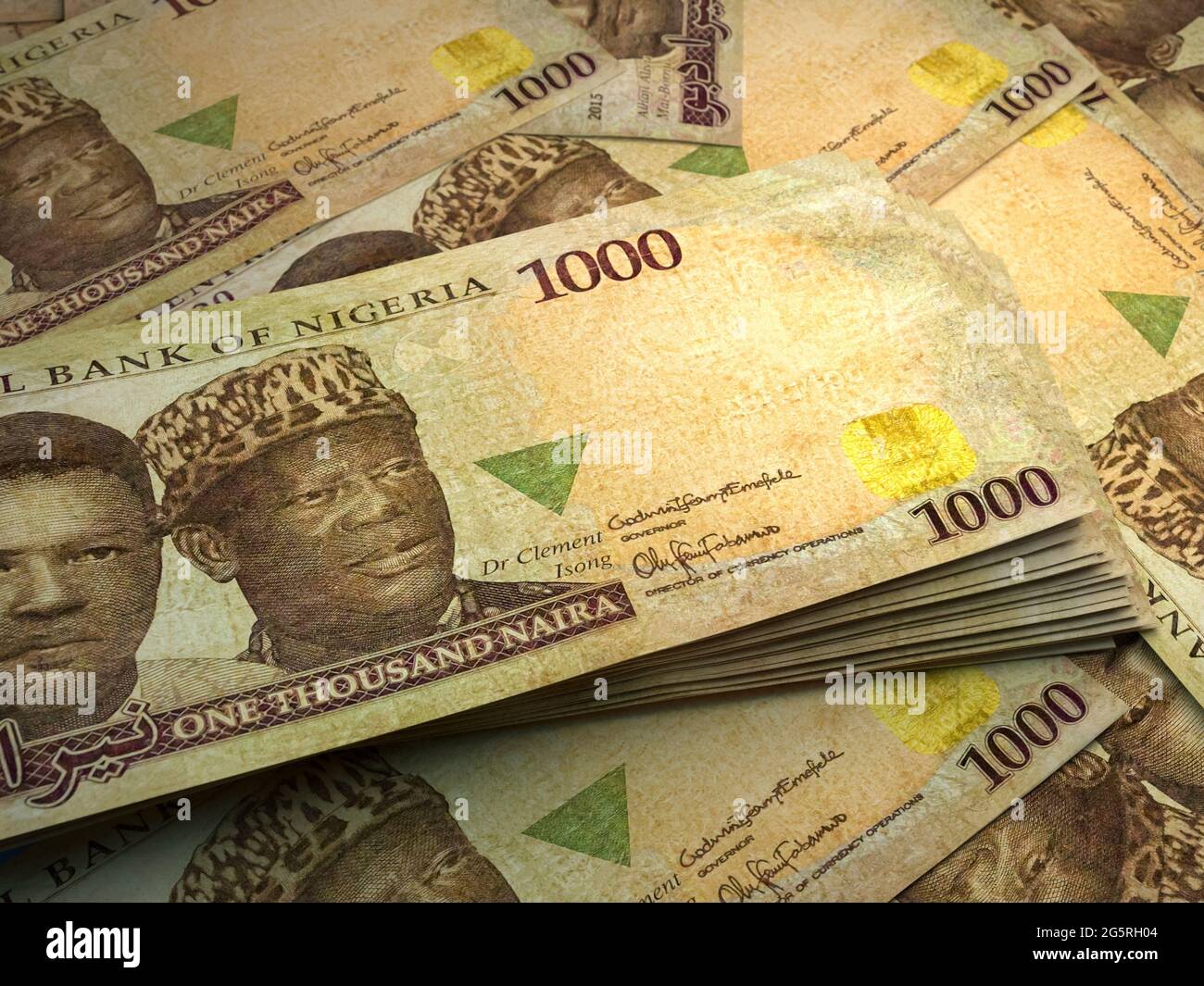 Argent du Nigeria. Naira nigérian. Billets NGN. 1000 polymère. Affaires, finances, informations générales. Banque D'Images