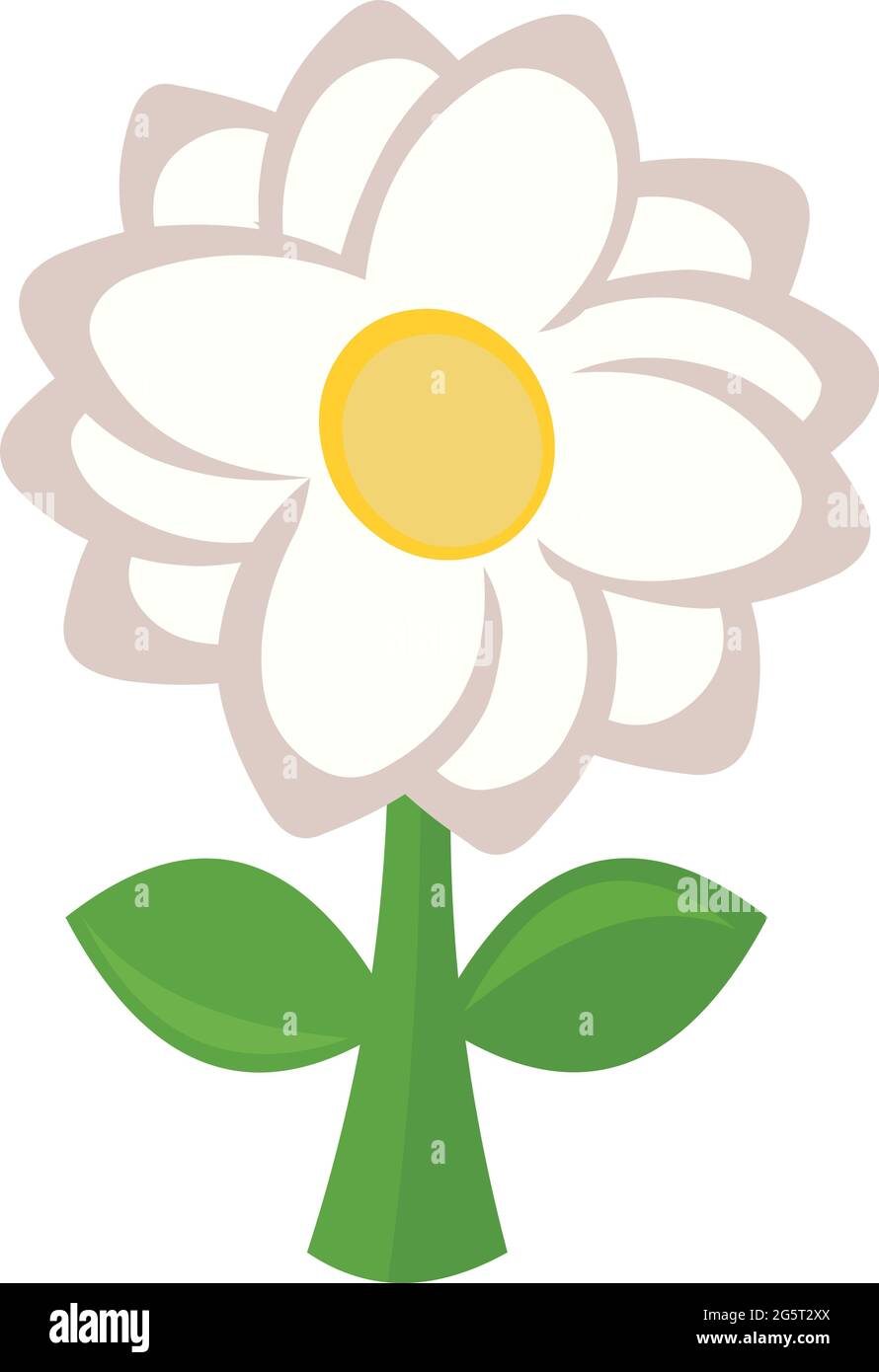 Illustration d'une plante avec une fleur blanche Illustration de Vecteur