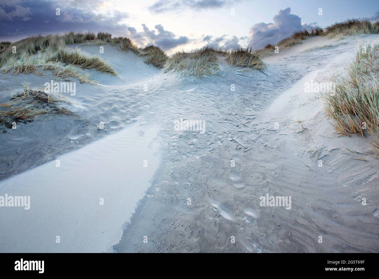 Tempête de sable dans la Sint-Laureinsduinen, Belgique, Flandre Occidentale, Middelkerke, Sint-Laureinsduinen Banque D'Images