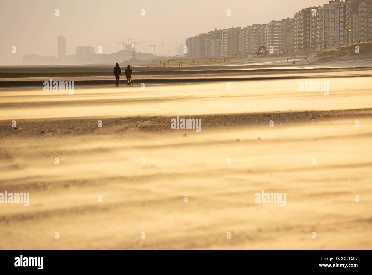 Sable dérivant sur la plage, Belgique, Flandre Occidentale, Middelkerke, Sint-Laureinsduinen Banque D'Images