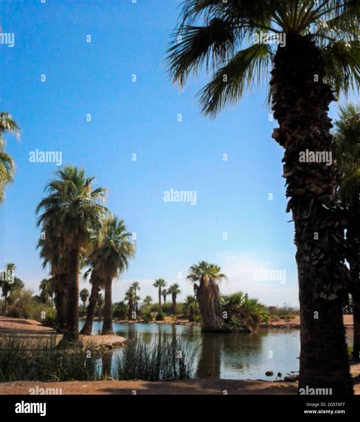 PAUMES VERS LE HAUT Banque D'Images