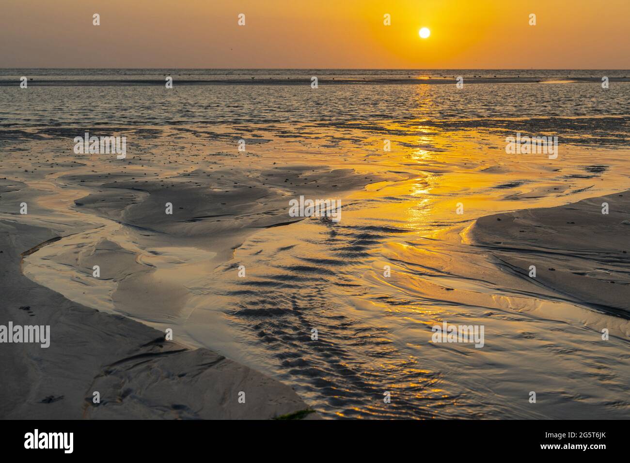 mer des wadden - tideway au coucher du soleil, Allemagne, Schleswig-Holstein, Westerhever Banque D'Images