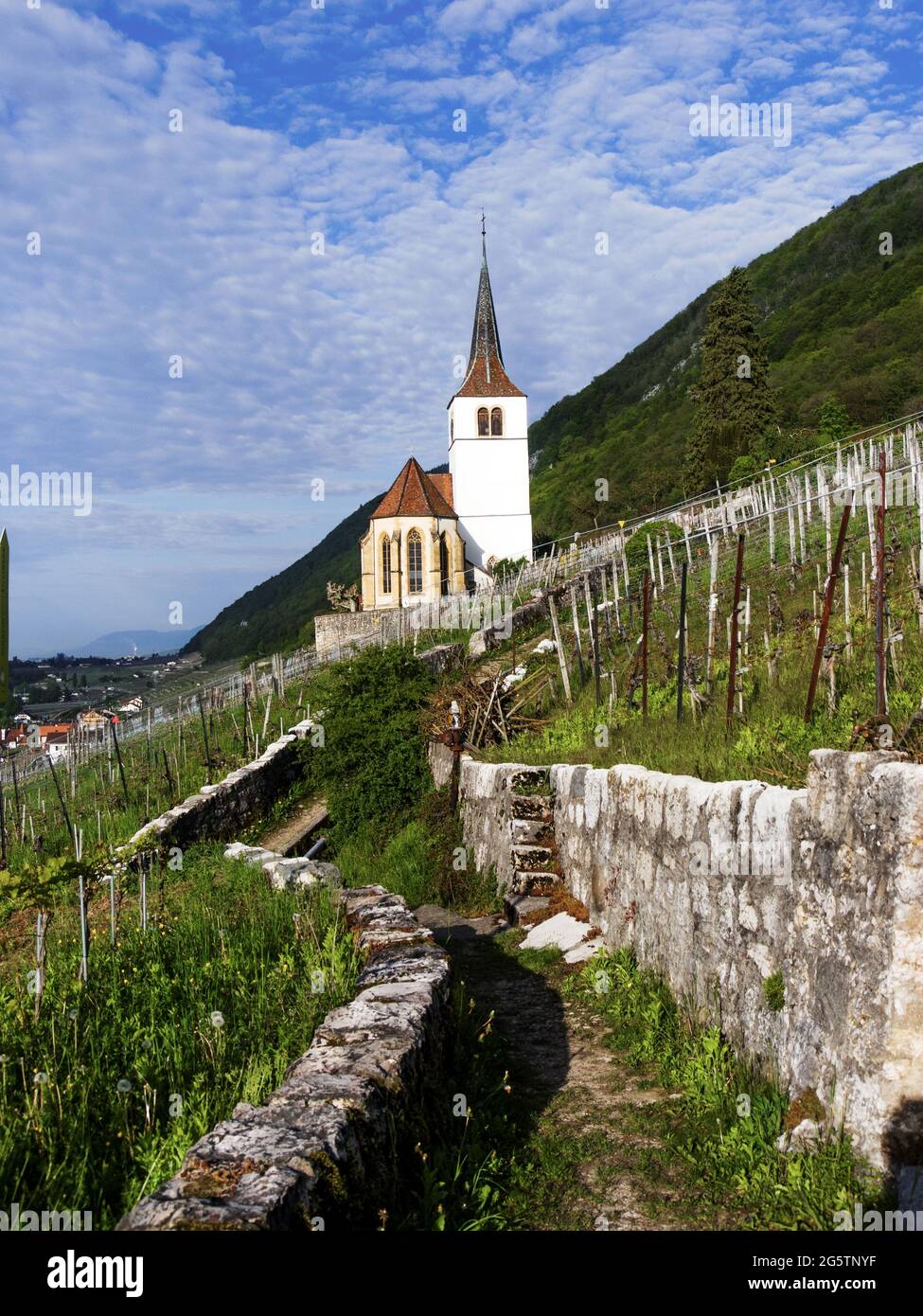 Die als Heiratsort beliebte Kirche von Ligerz in den ...