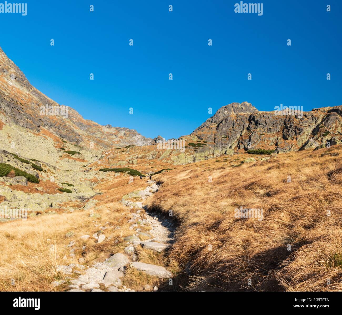 Partie supérieure de la vallée de la Dolina Mlynicka avec Mlynicke sedlo et Strbsky stit sommet de montagne au-dessus en automne Vysoke Tatry montagnes en Slovaquie Banque D'Images