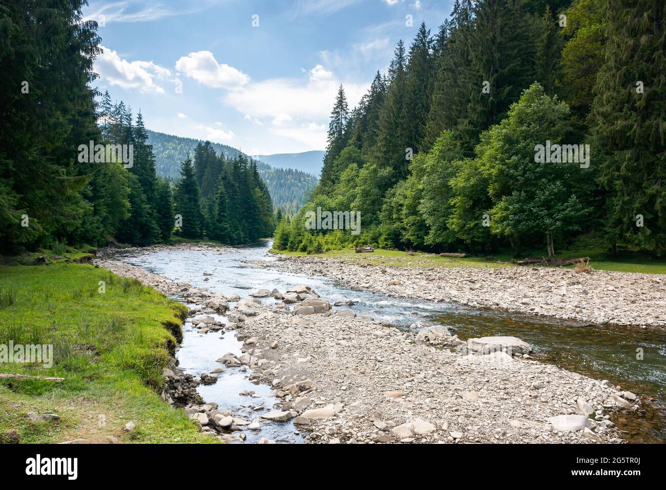 la rivière de montagne traverse une vallée boisée. paysage de campagne par jour d'été. arbres et pierres sur la rive. problème écologique avec faible ammount de w Banque D'Images