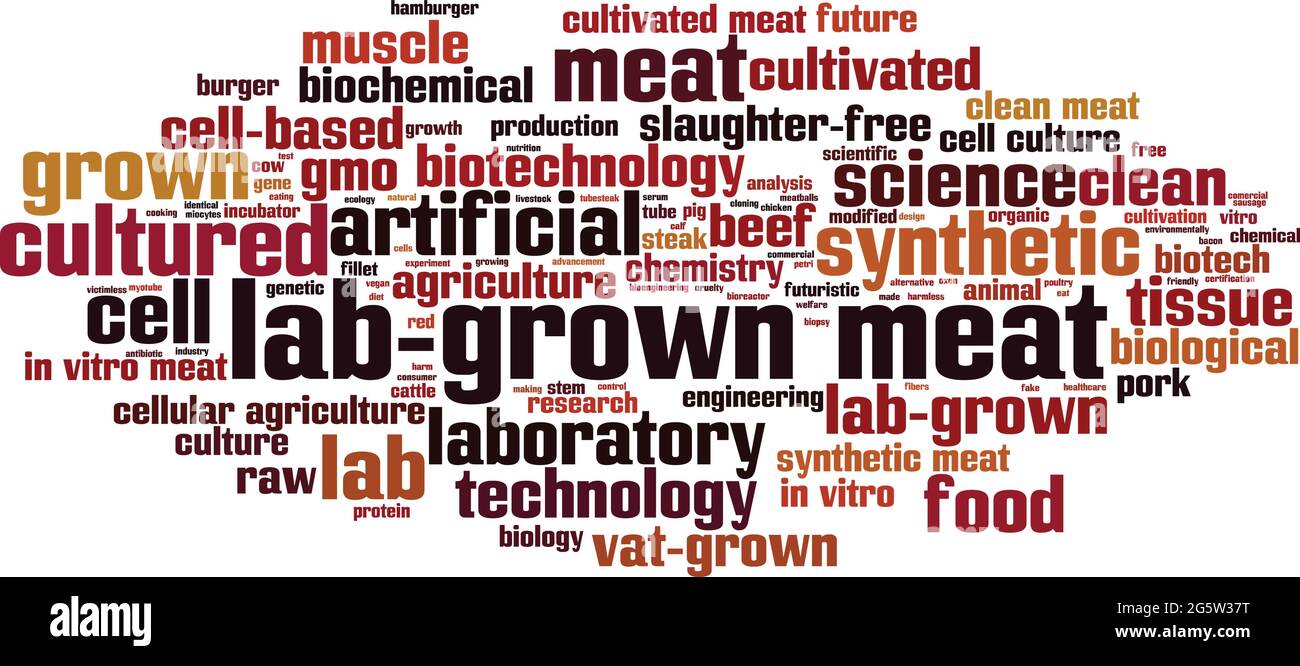 Concept de nuage de mot de viande cultivé en laboratoire. Collage de mots sur la viande cultivée en laboratoire. Illustration vectorielle Illustration de Vecteur